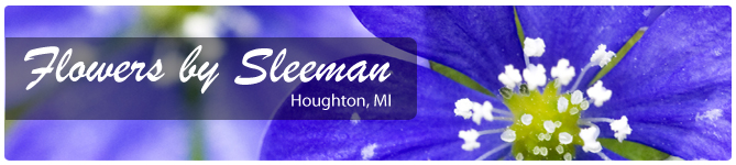 Flowers By Sleeman